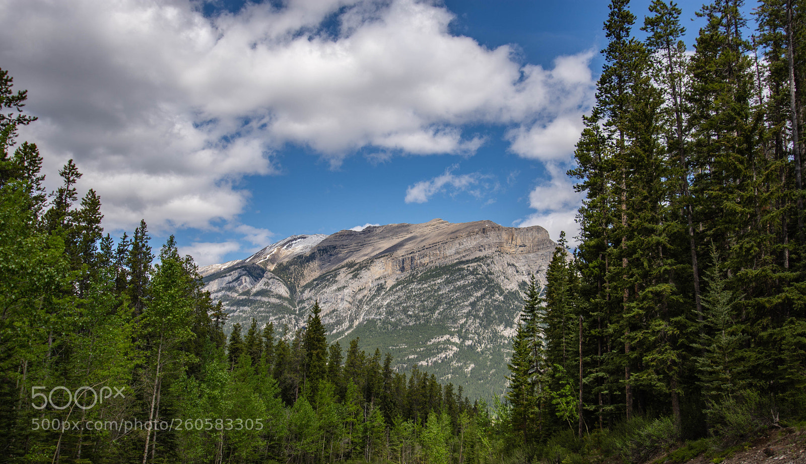 Nikon D7200 sample photo. Rockies photography