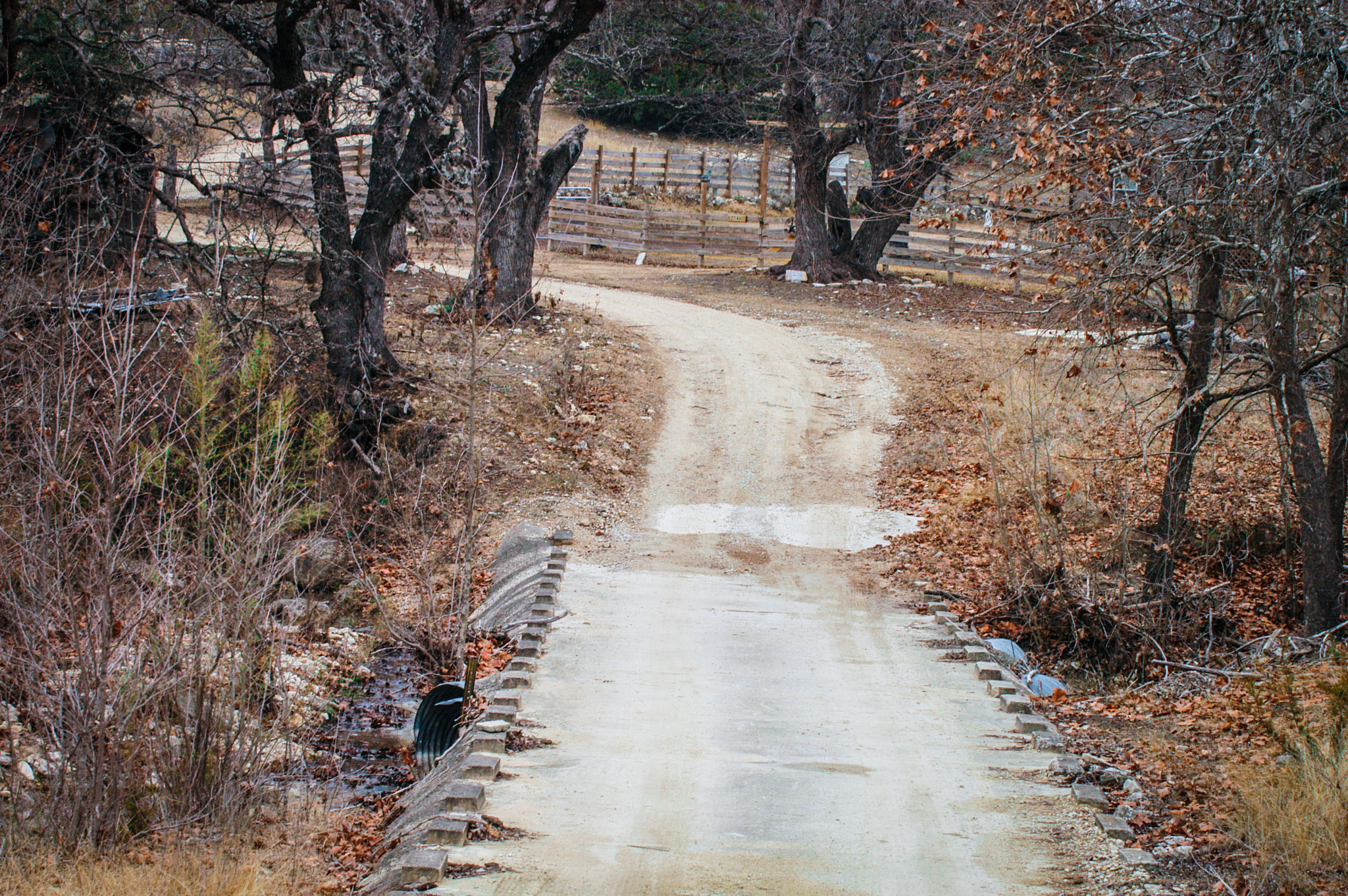 Nikon D100 sample photo. Country road photography