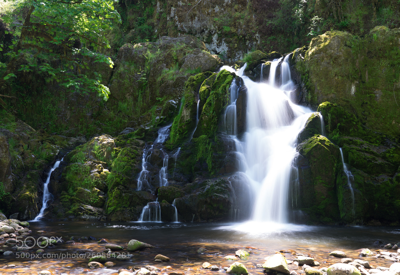 Sony a7 II sample photo. Little mashel falls photography