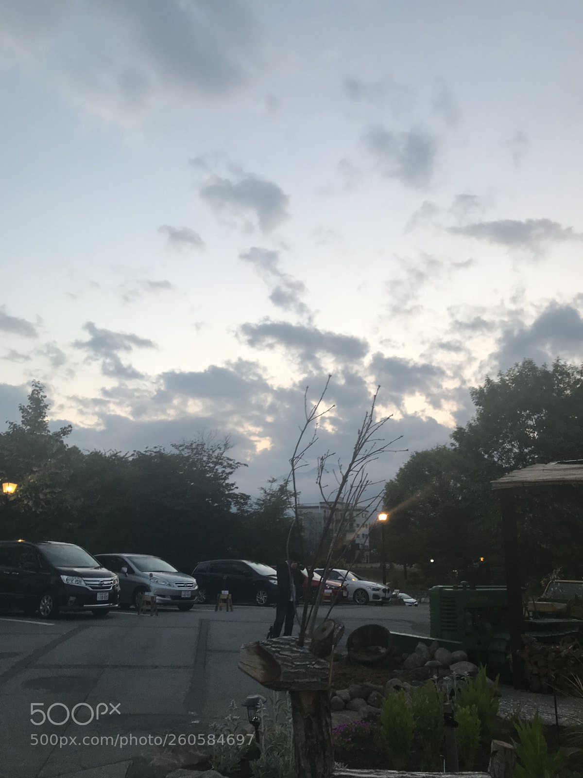 Apple iPhone 7 sample photo. Soft photography