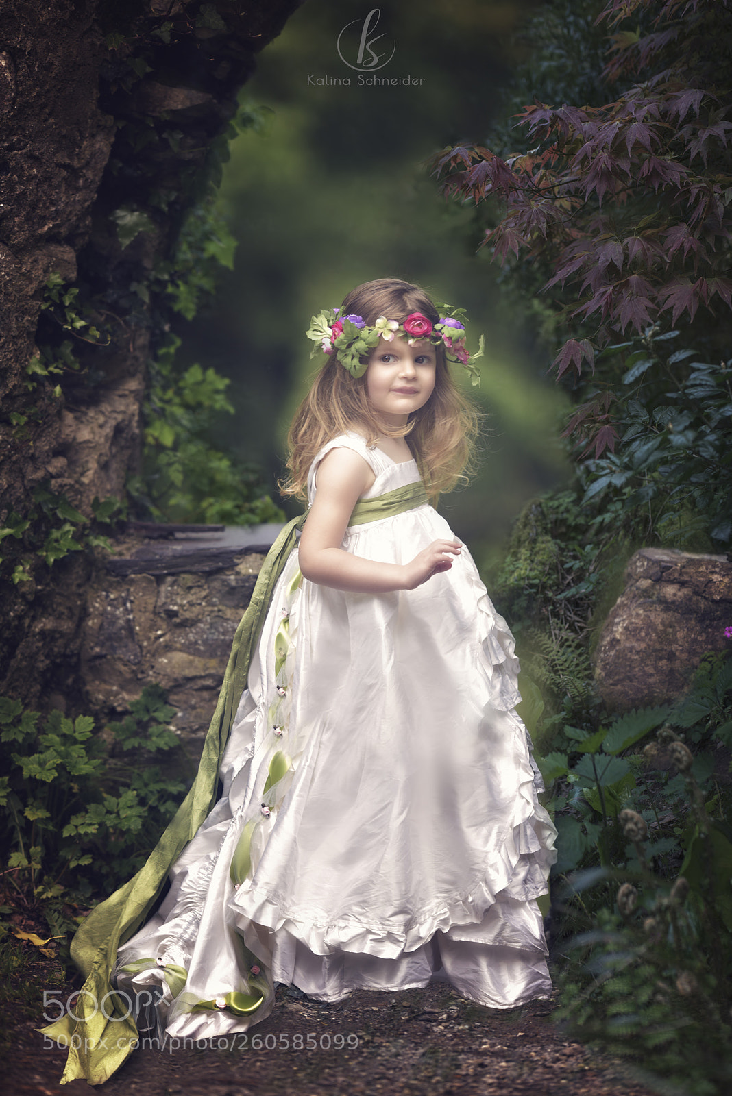 Nikon D810 sample photo. Enchanted garden photography