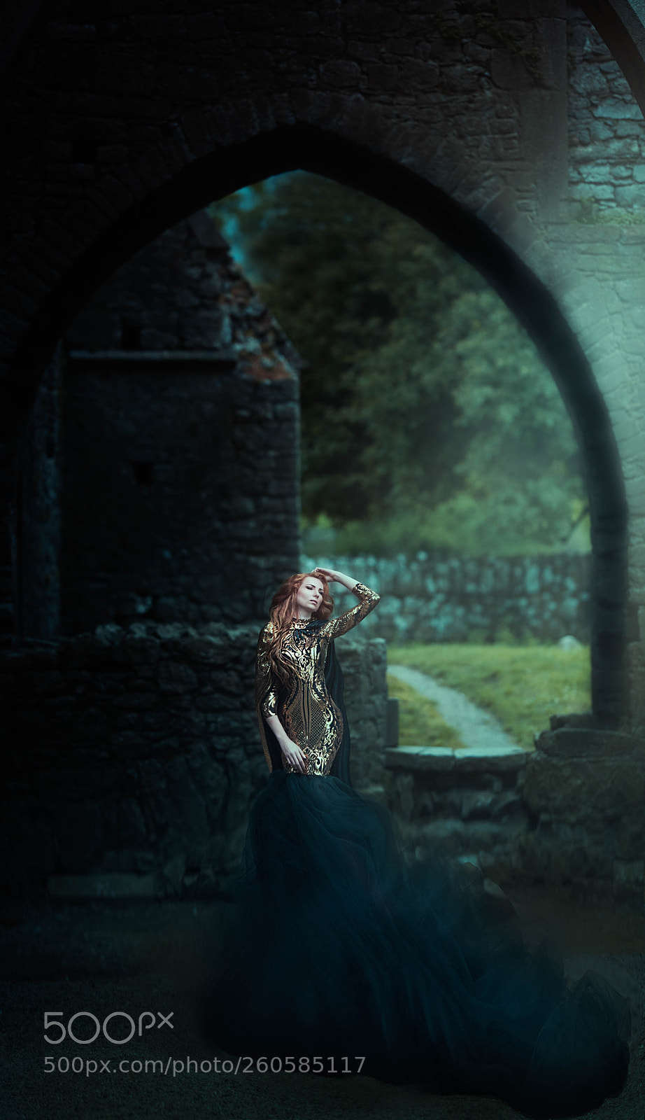 Nikon D5 sample photo. Moonlight sonate photography