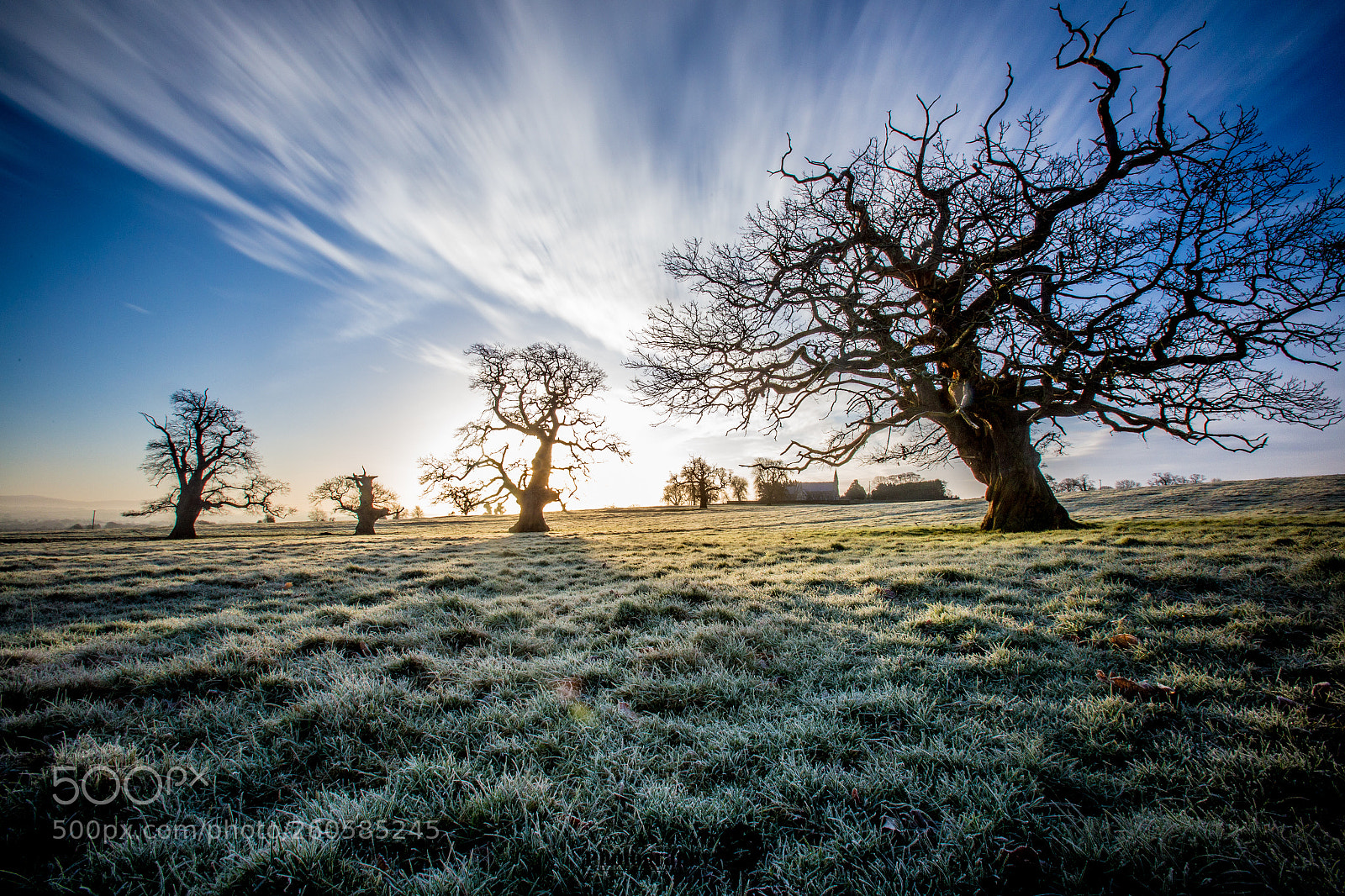 Canon EOS 6D sample photo. Eerie oaks photography