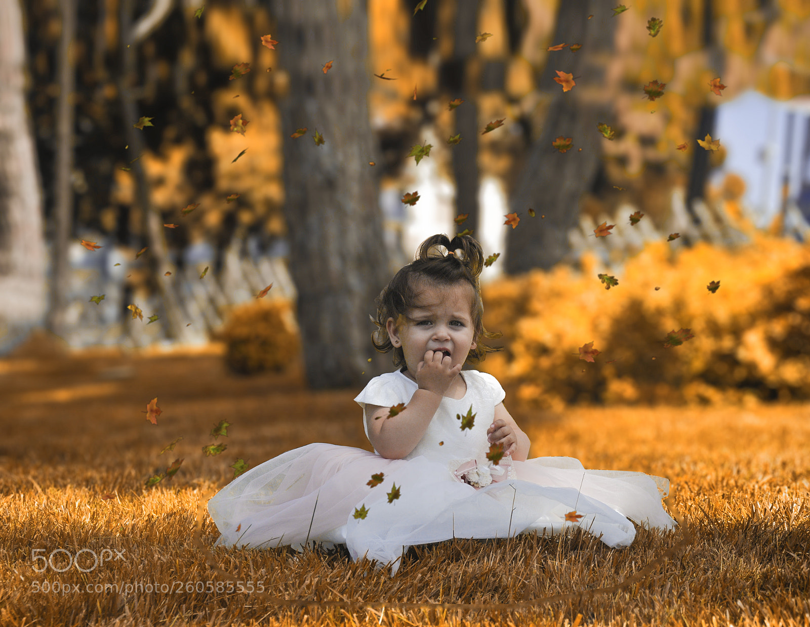 Nikon D90 sample photo. Untitled photography