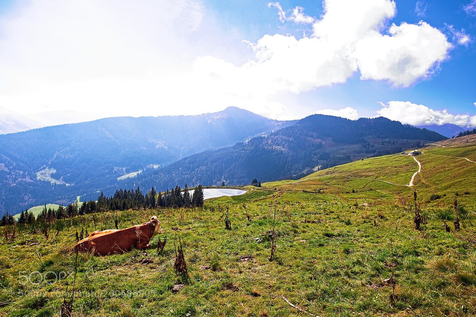 Nikon D600 sample photo. Austrian mountain range photography