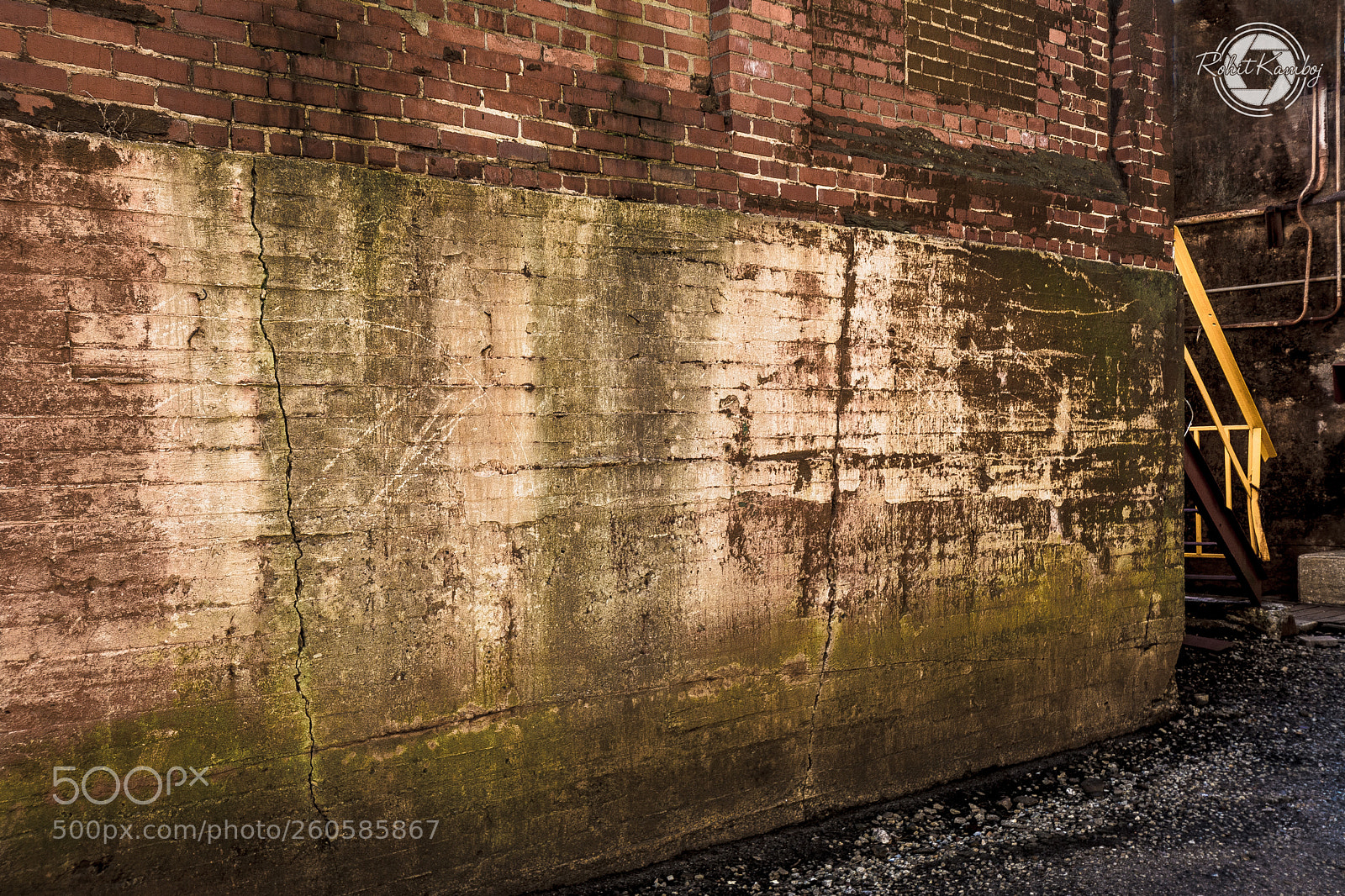 Nikon D7100 sample photo. Brick wall with yellow photography