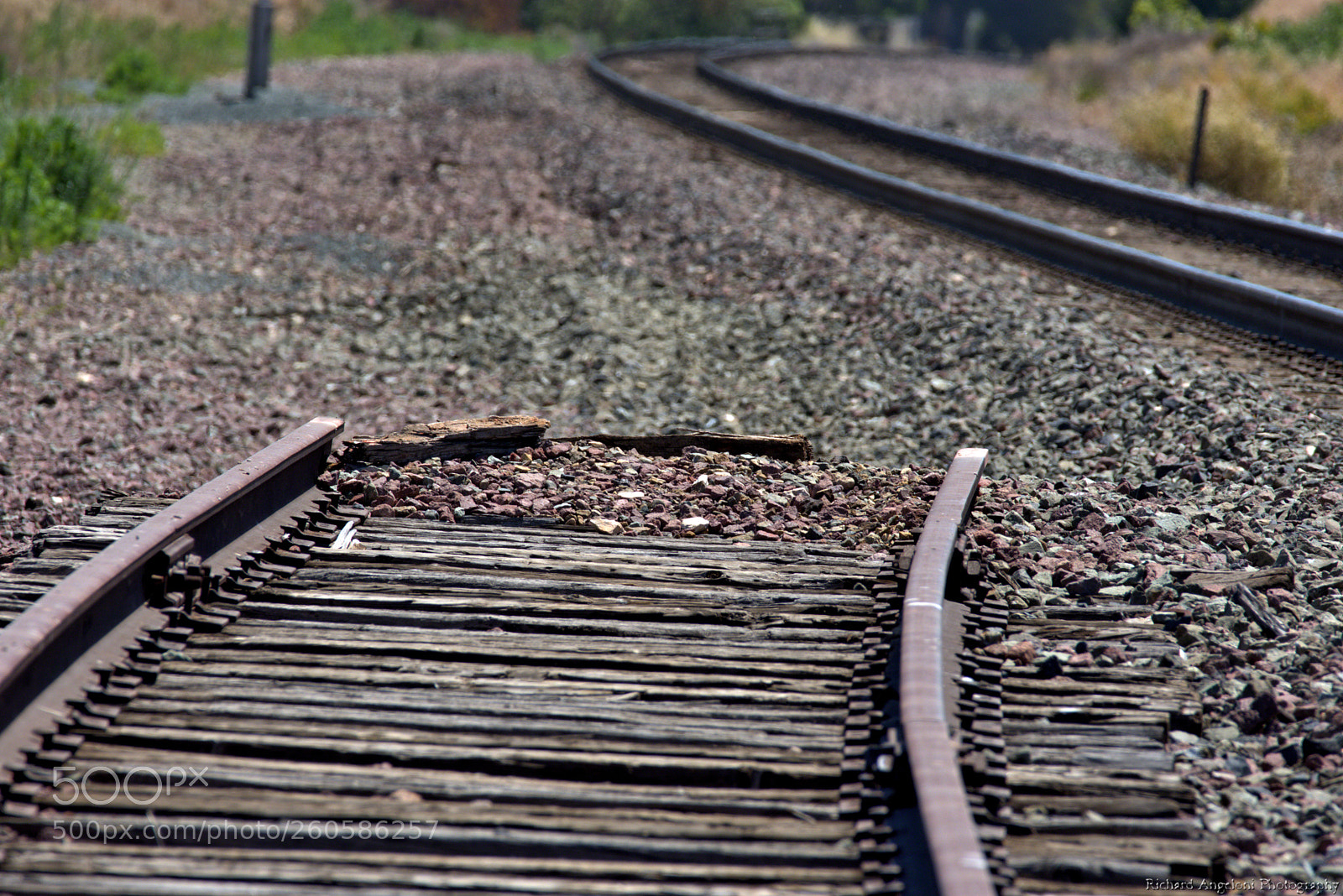 Nikon D7200 sample photo. Track to nowhere photography