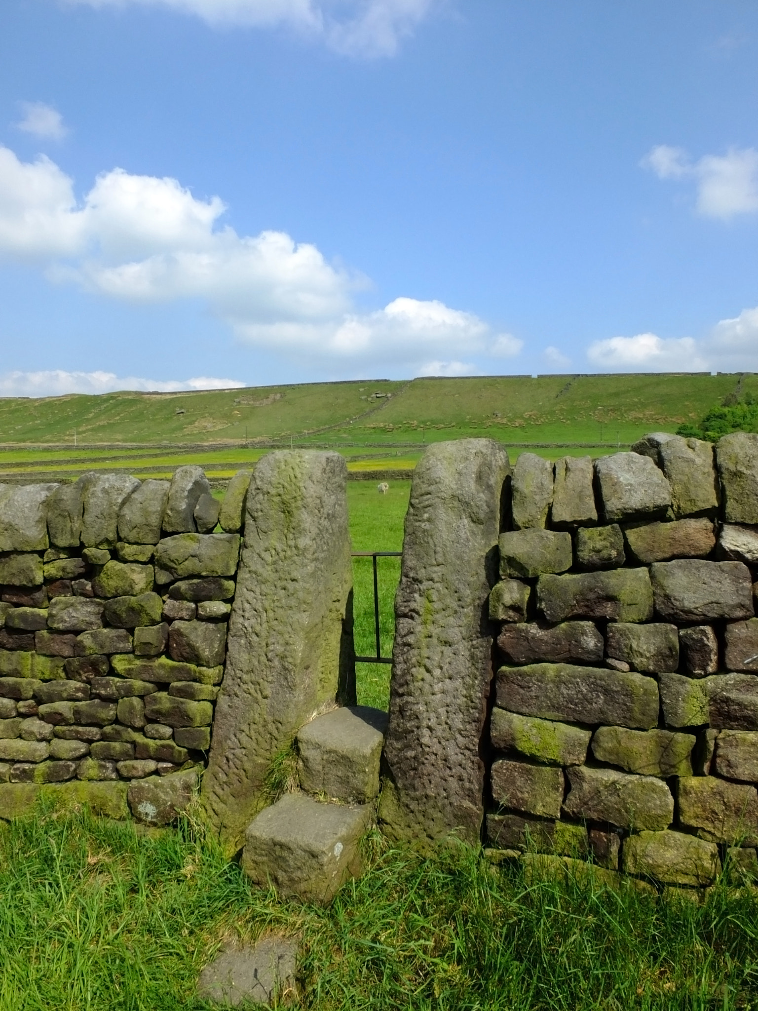 Fujifilm X-S1 sample photo. A dry stone wall with stone stile or narrow gate with steps in a yorkshire dales hillside meadow... photography