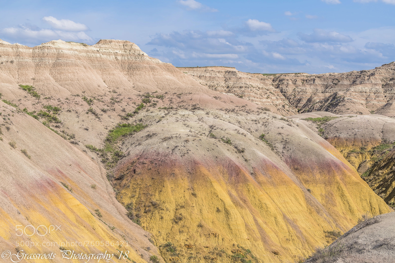 Nikon D850 sample photo. Yellow mounds photography