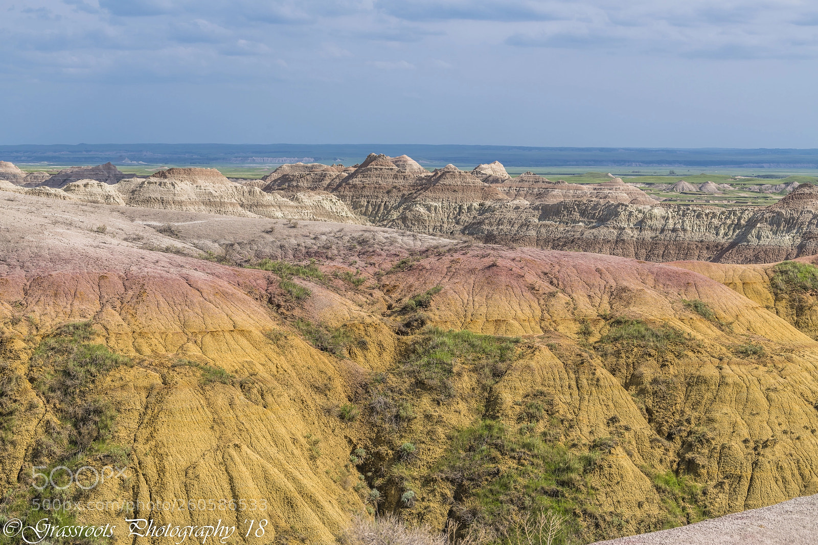 Nikon D850 sample photo. Yellow mounds 2 photography