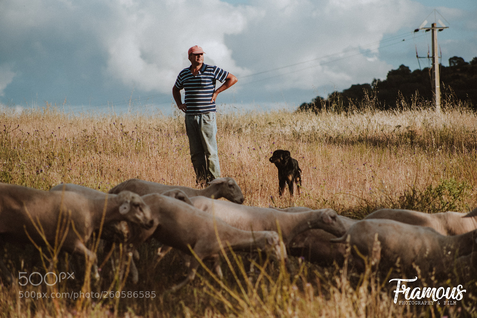Nikon D750 sample photo. Alentejo adventures photography