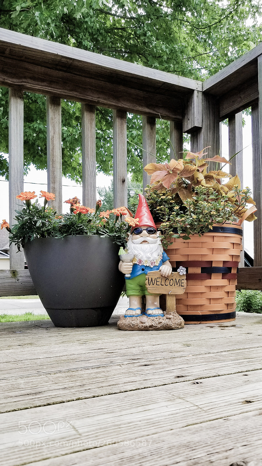 Samsung Galaxy S8 sample photo. Gnome welcoming photography