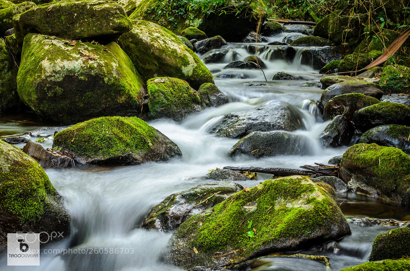 Nikon D5100 sample photo. There goes the water photography