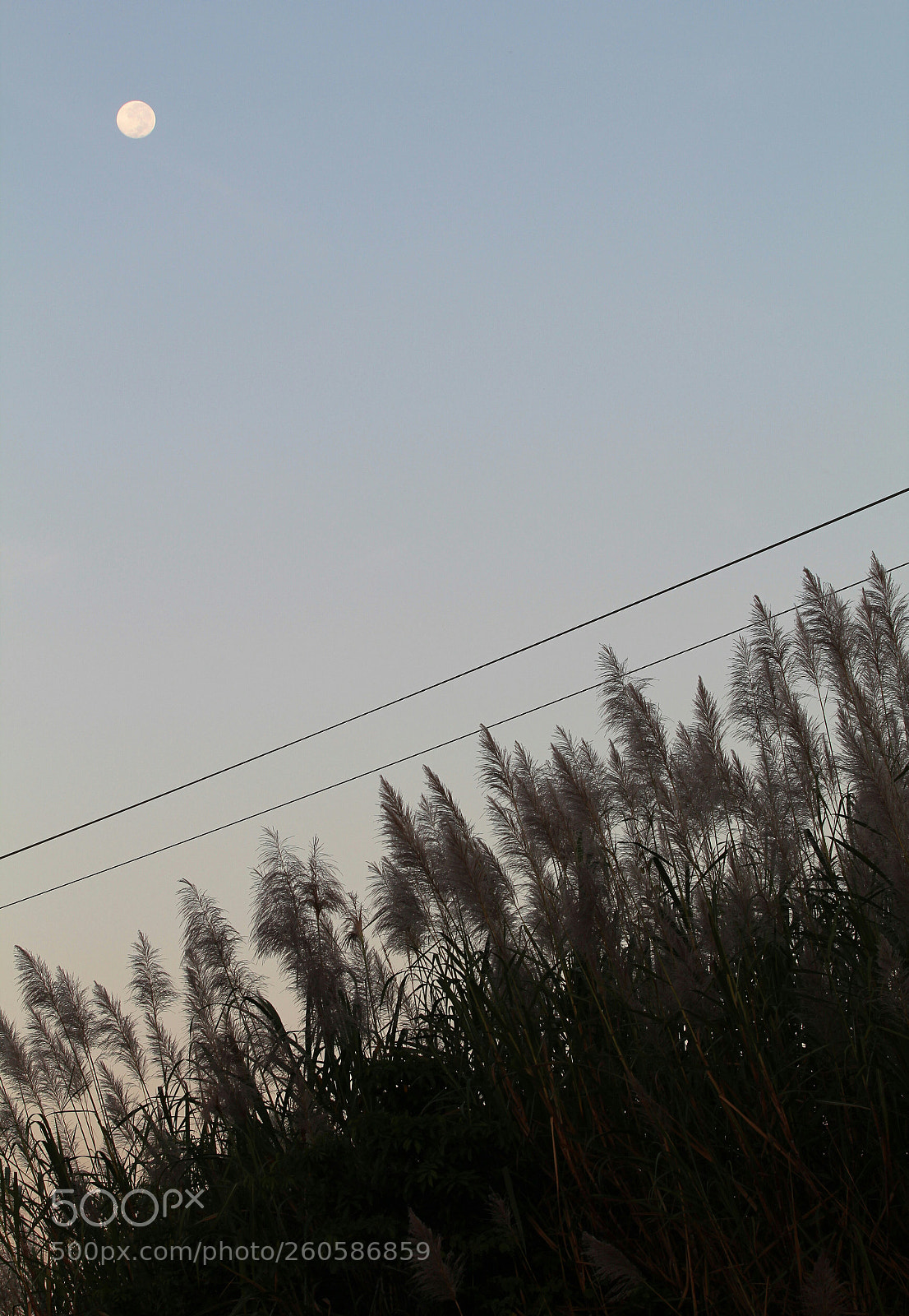 Canon EOS 1300D (EOS Rebel T6 / EOS Kiss X80) sample photo. Full moon... photography