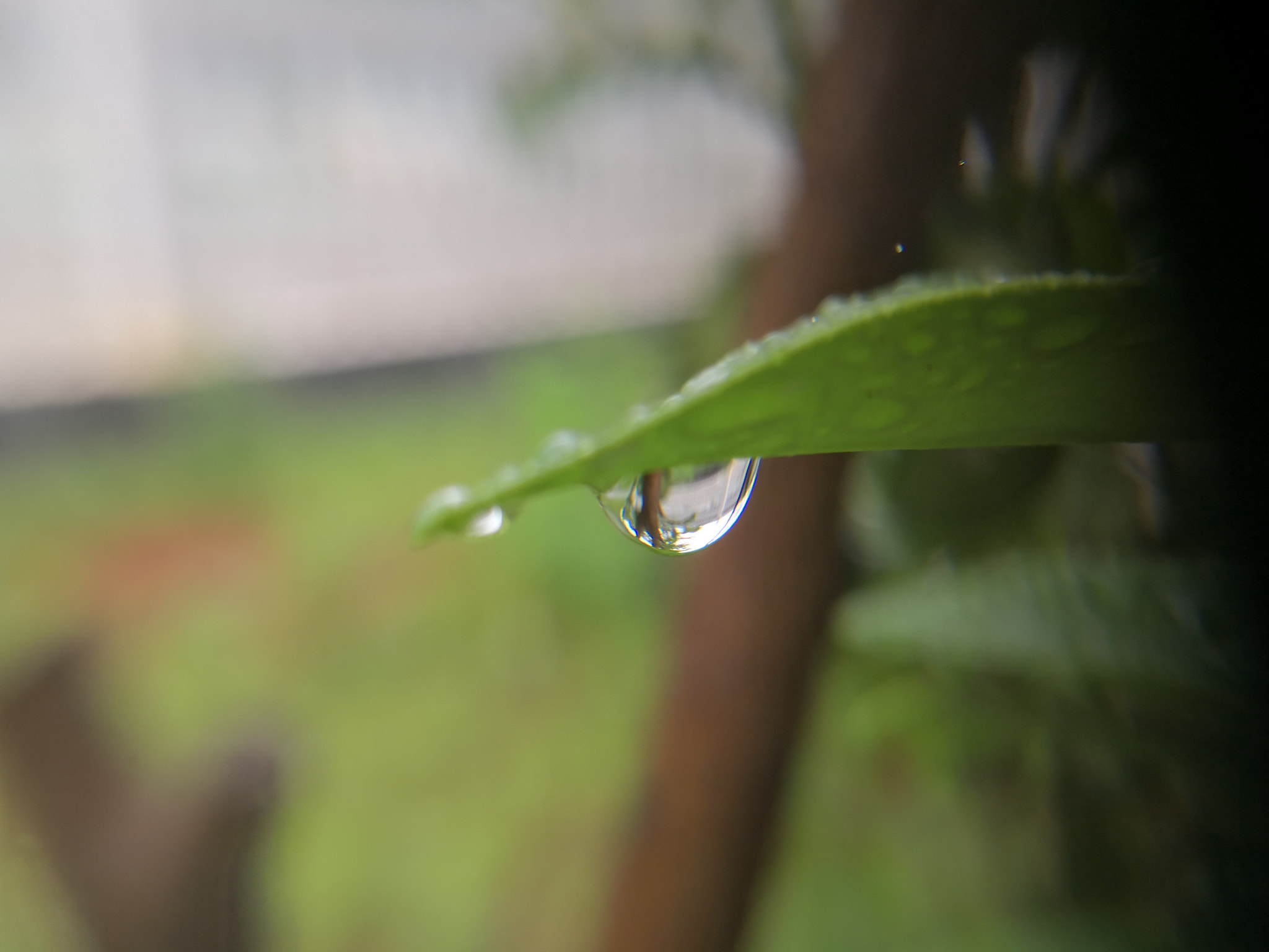 HUAWEI Mate 10 sample photo
