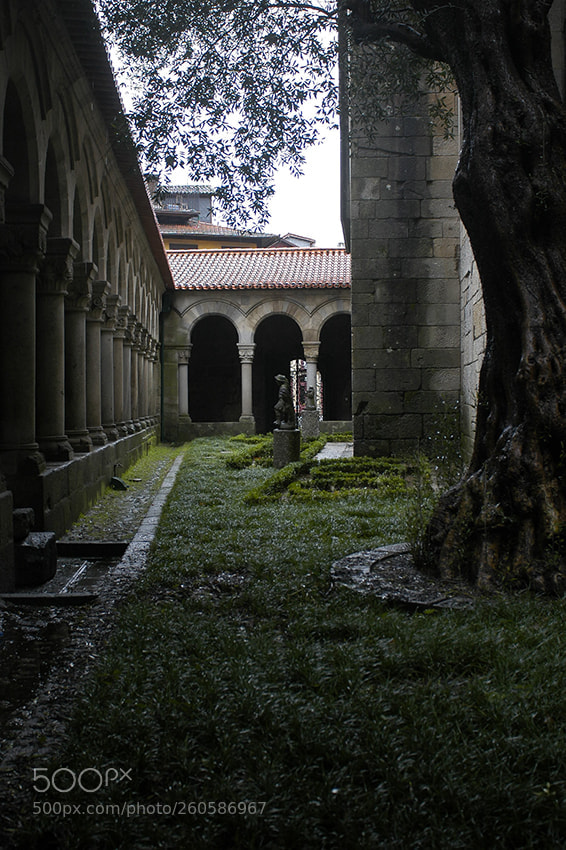 Nikon D70s sample photo. Guimarães photography