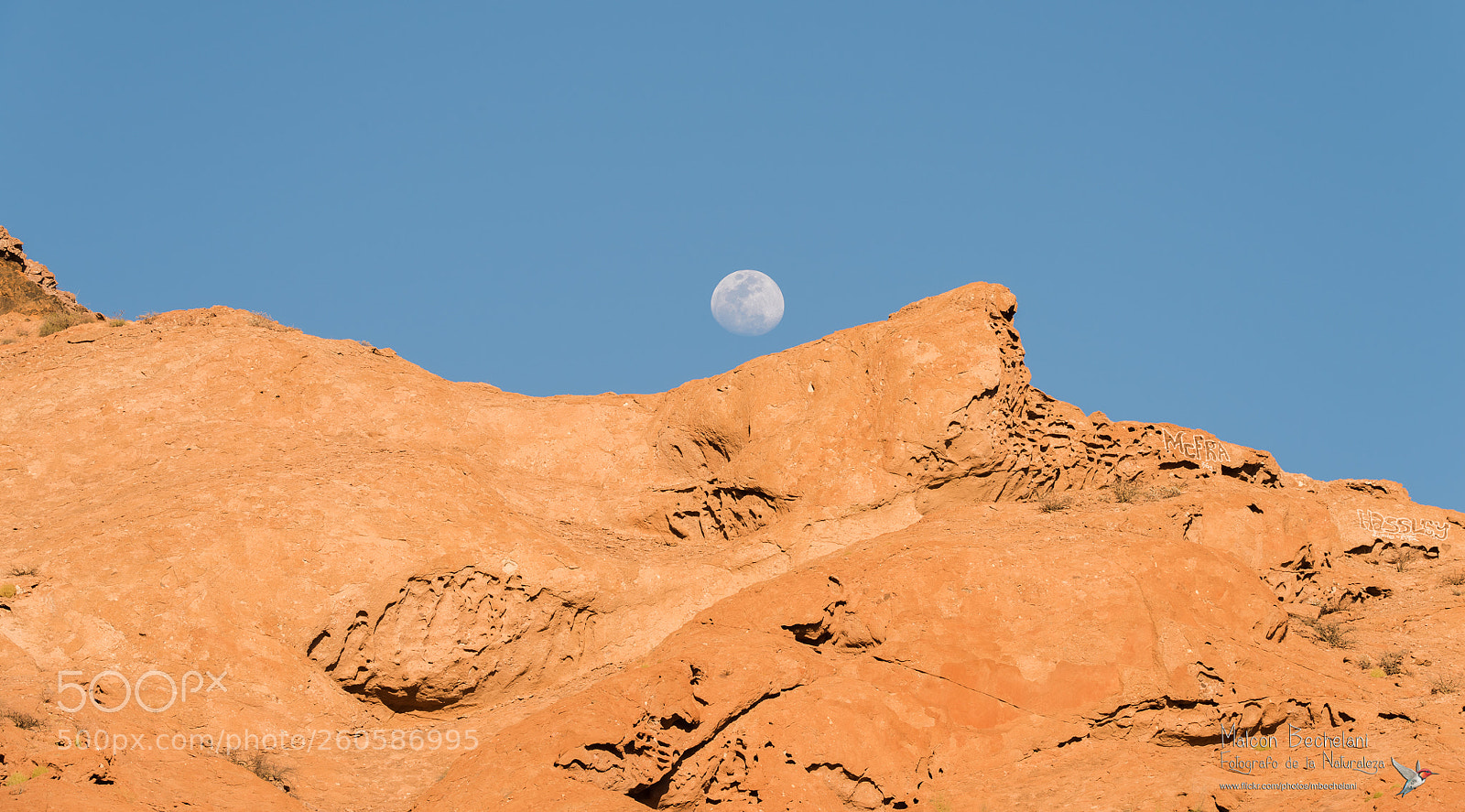 Nikon D810 sample photo. Mbs photography