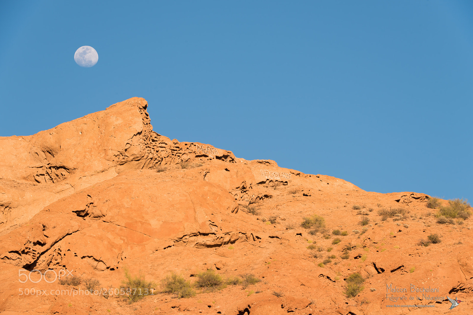 Nikon D810 sample photo. Mbs photography