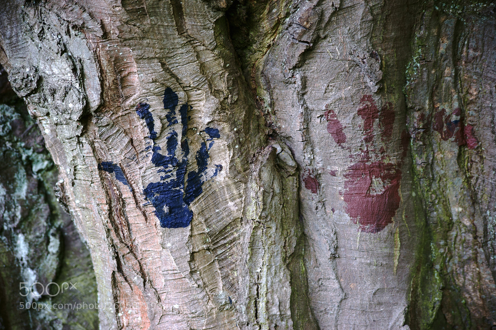 Sony a7 II sample photo. Colored handprints on the photography