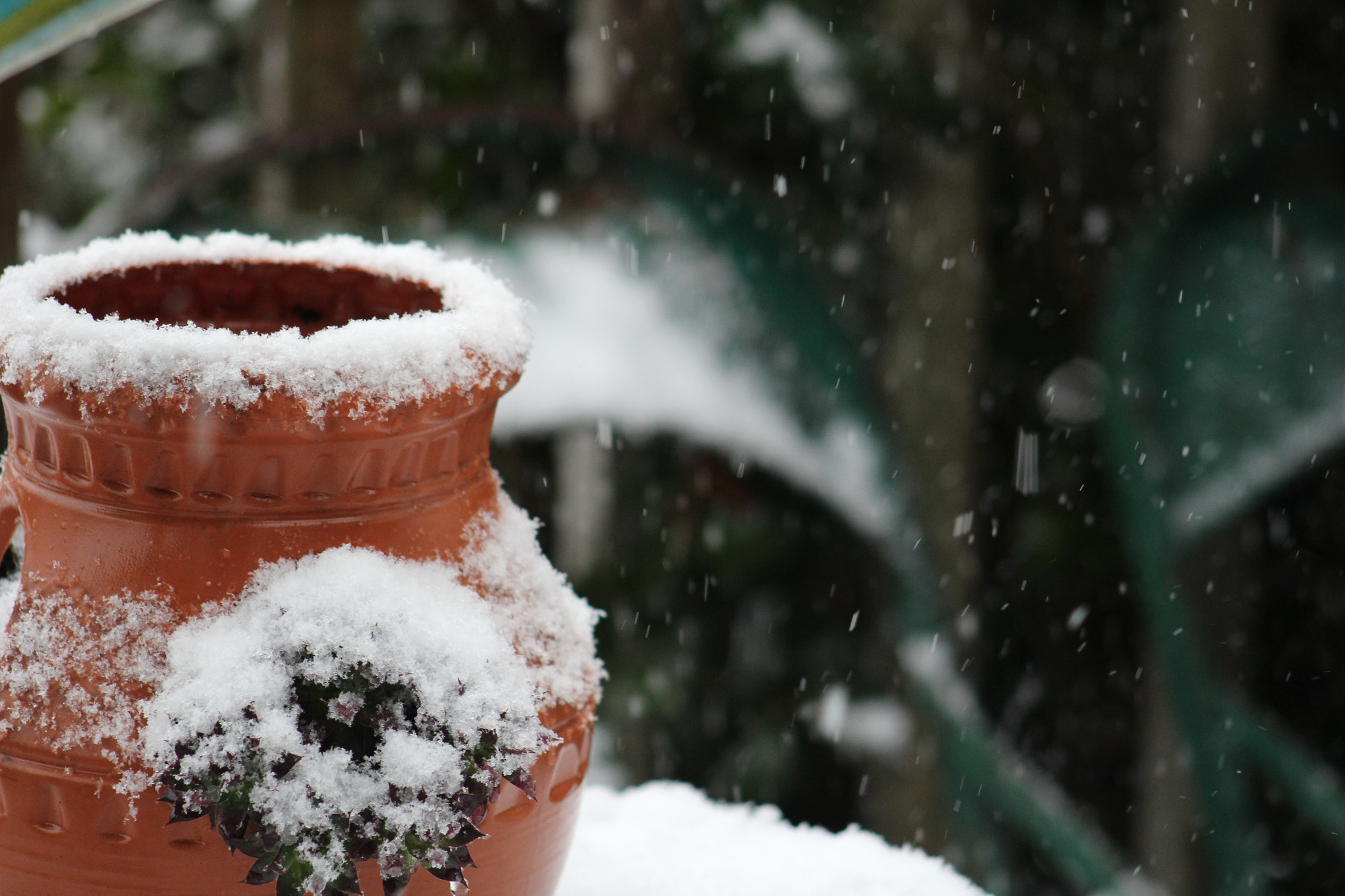 Canon EF 75-300mm f/4-5.6 sample photo. Img photography