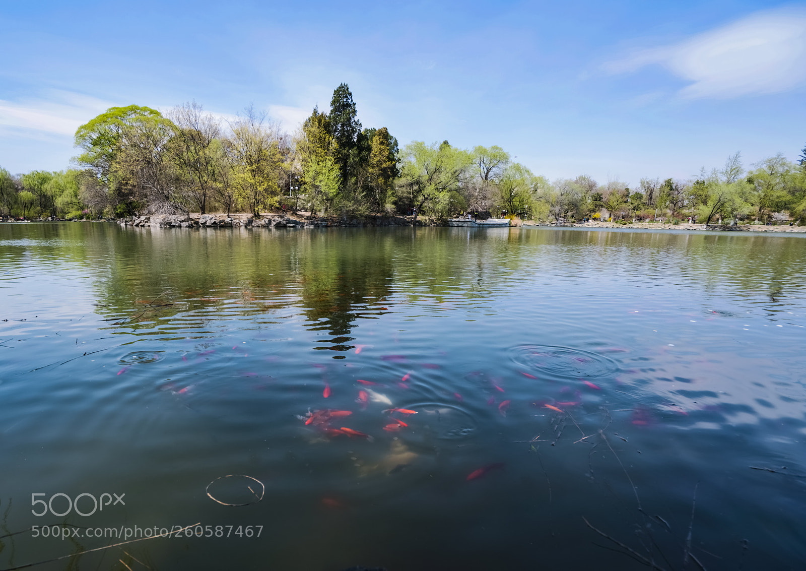 Sony a7R II sample photo. Spring in weiming lake photography