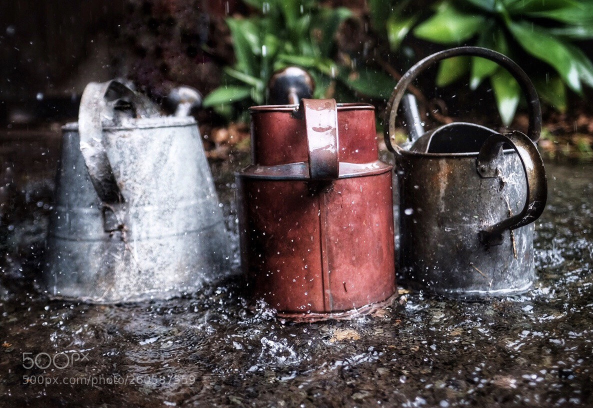 Fujifilm X-H1 sample photo. Free water! photography