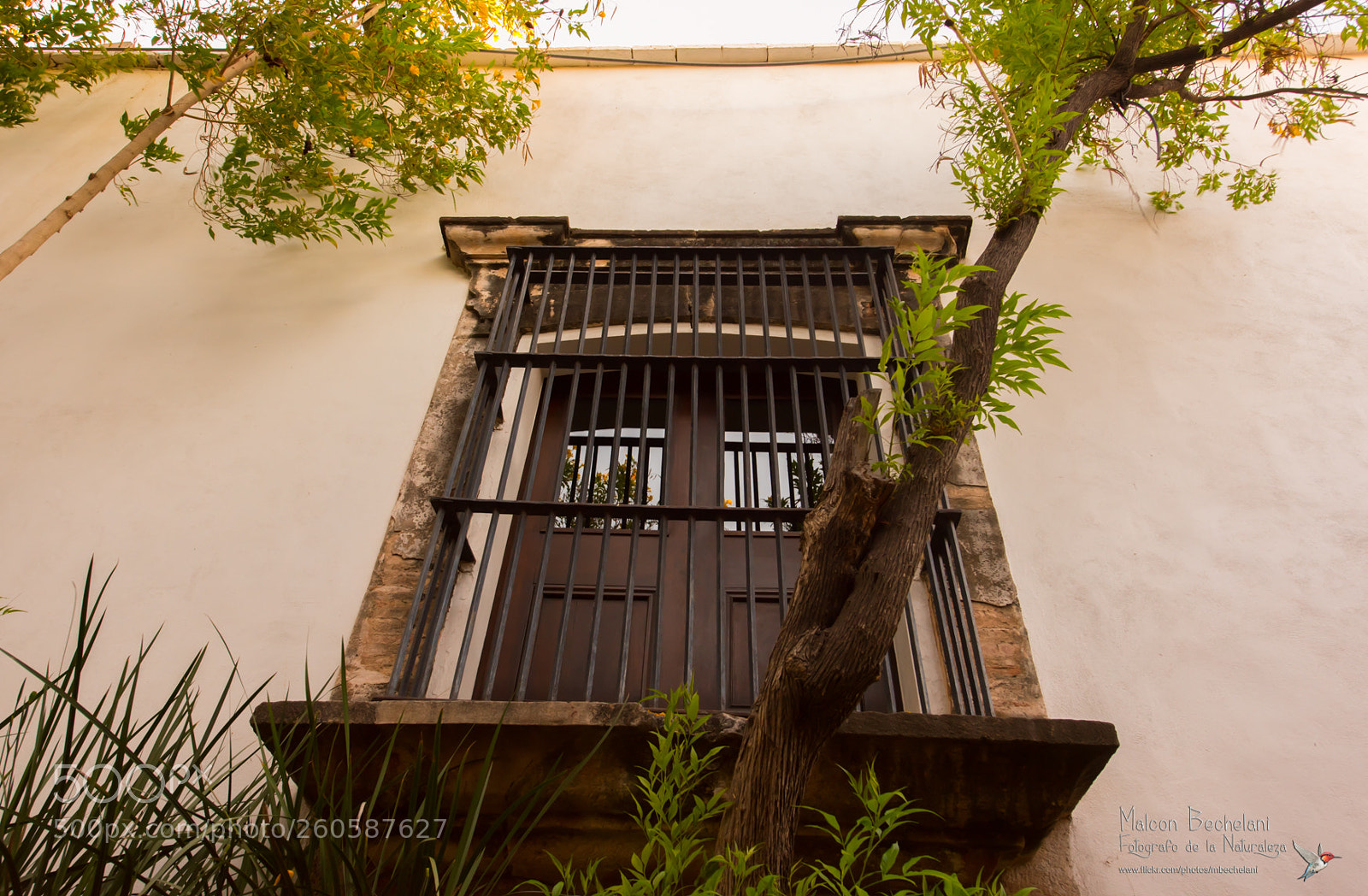 Nikon D810 sample photo. Mbs photography