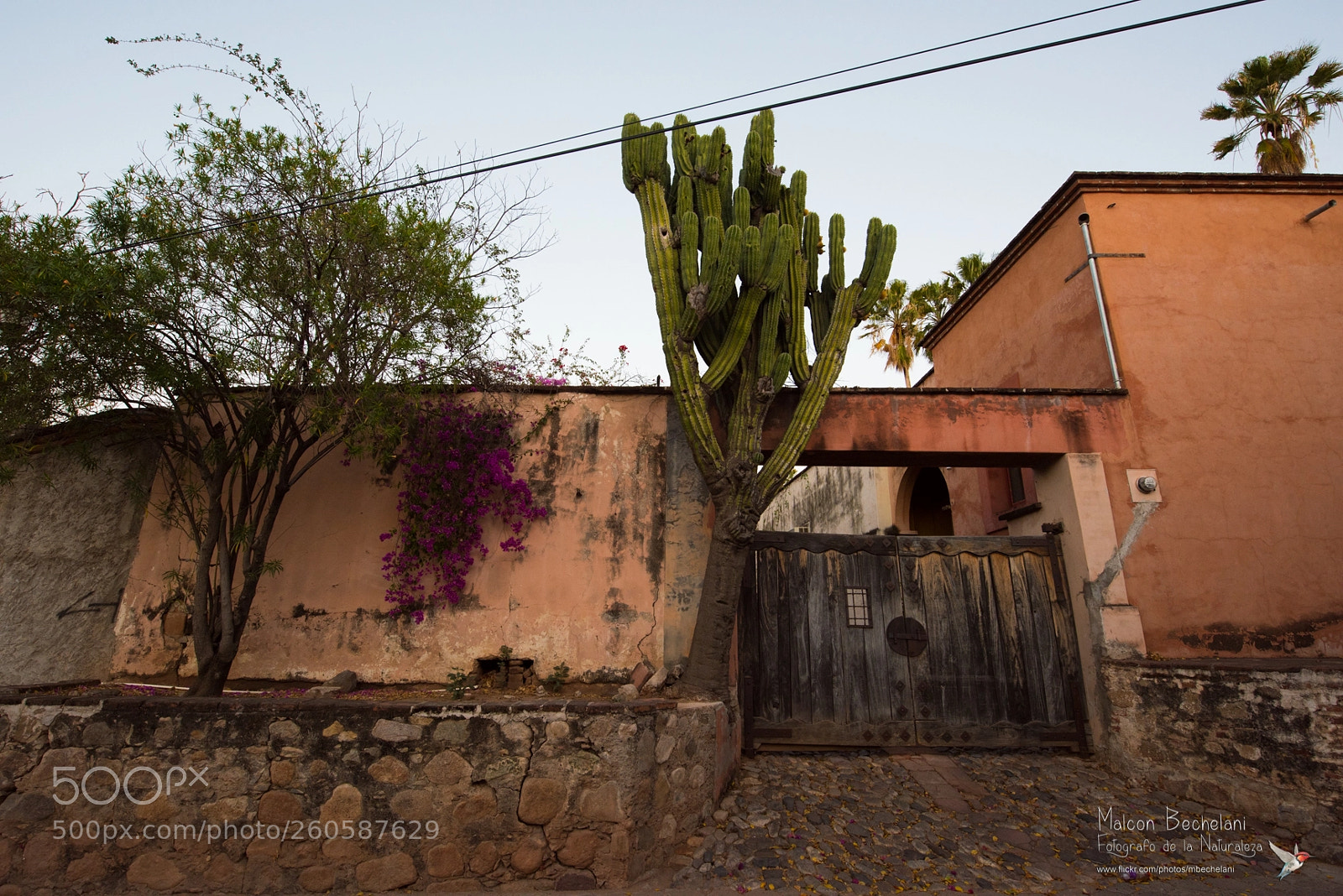 Nikon D810 sample photo. Mbs photography