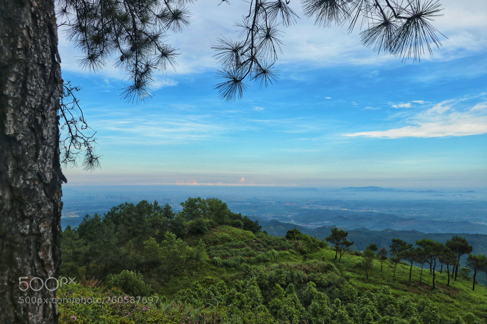 Canon EOS 80D sample photo. Untitled photography
