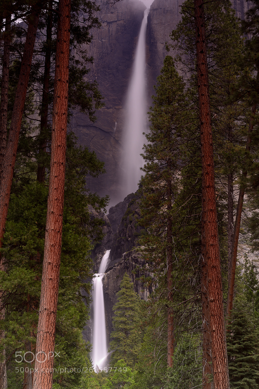 Nikon D800 sample photo. Yosemite falls photography