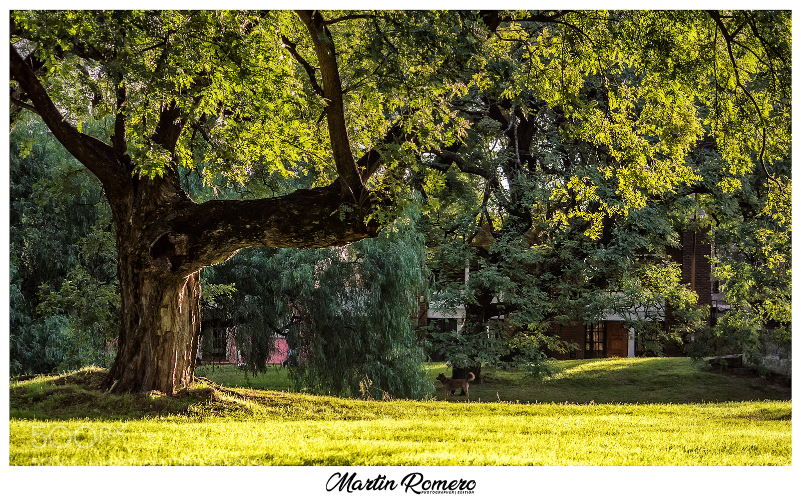 Nikon D3200 sample photo. Parque juan de garay photography