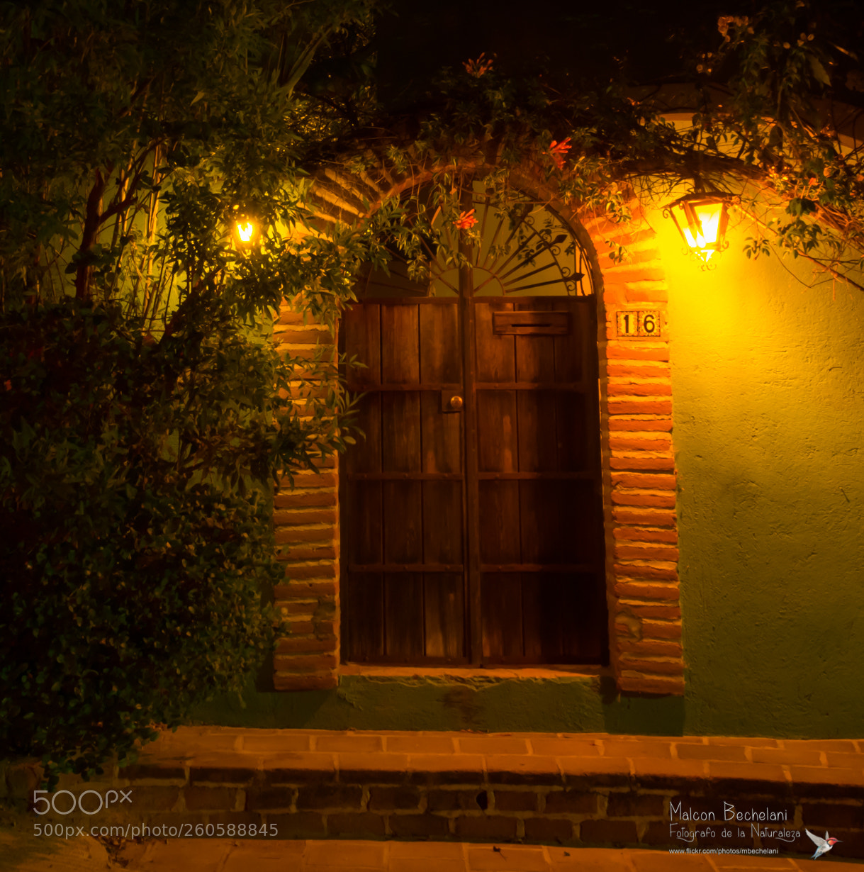 Nikon D810 sample photo. Mbs photography