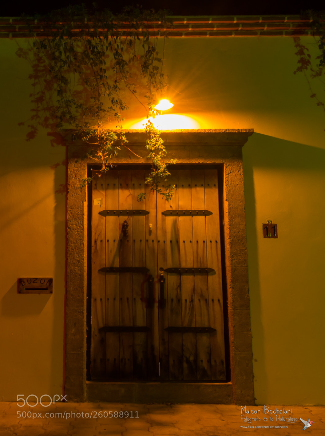 Nikon D810 sample photo. Mbs photography