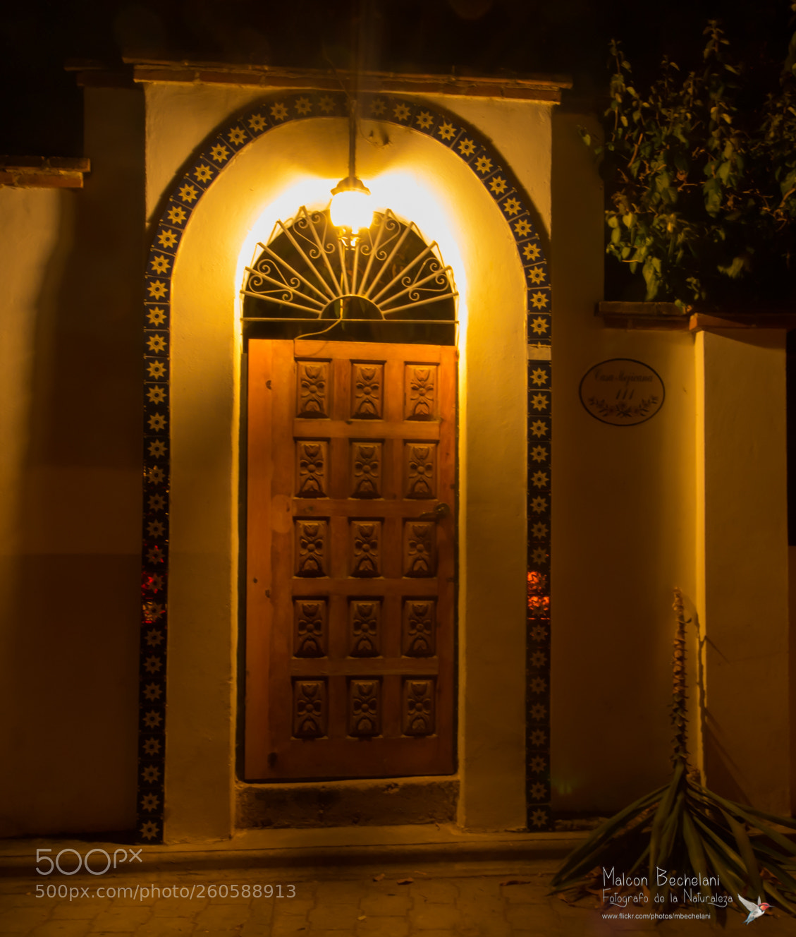 Nikon D810 sample photo. Mbs photography