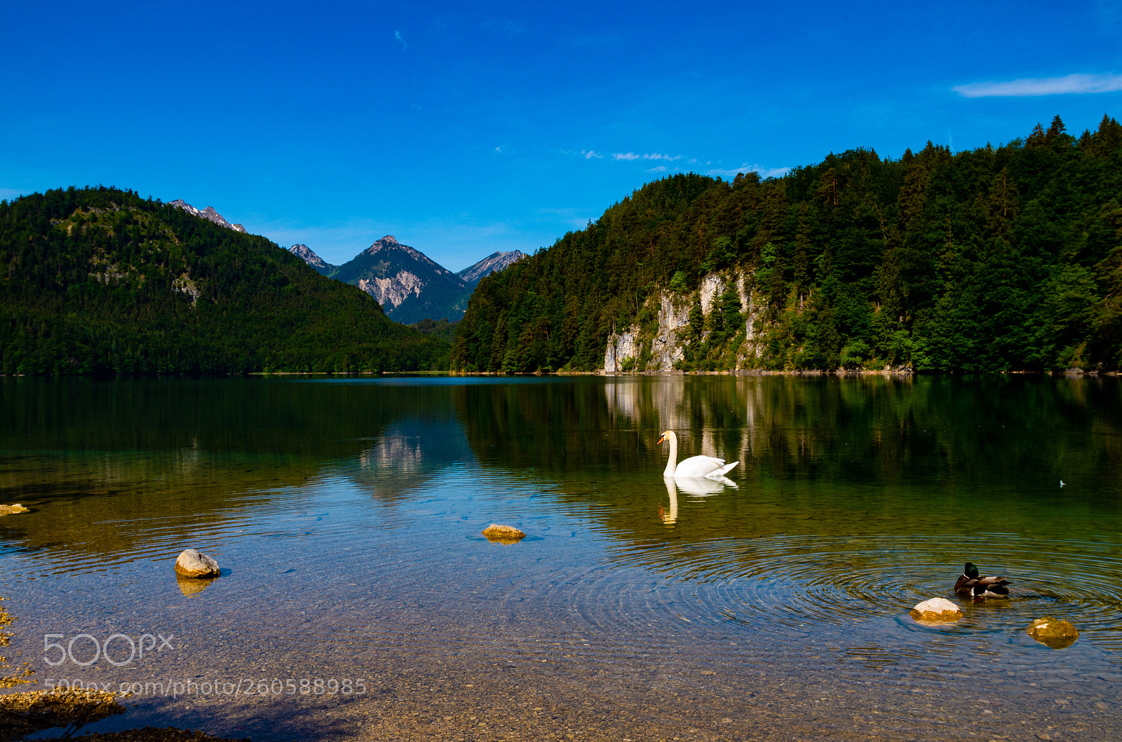 Pentax K-50 sample photo. Paradise photography