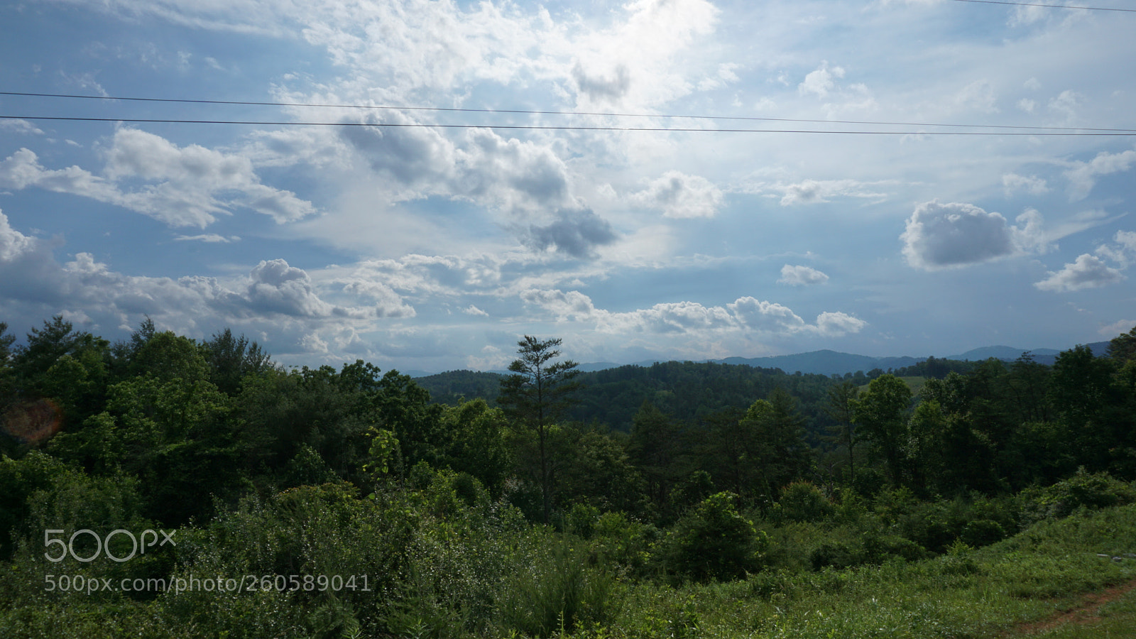 Sony a6000 sample photo. Nature photography