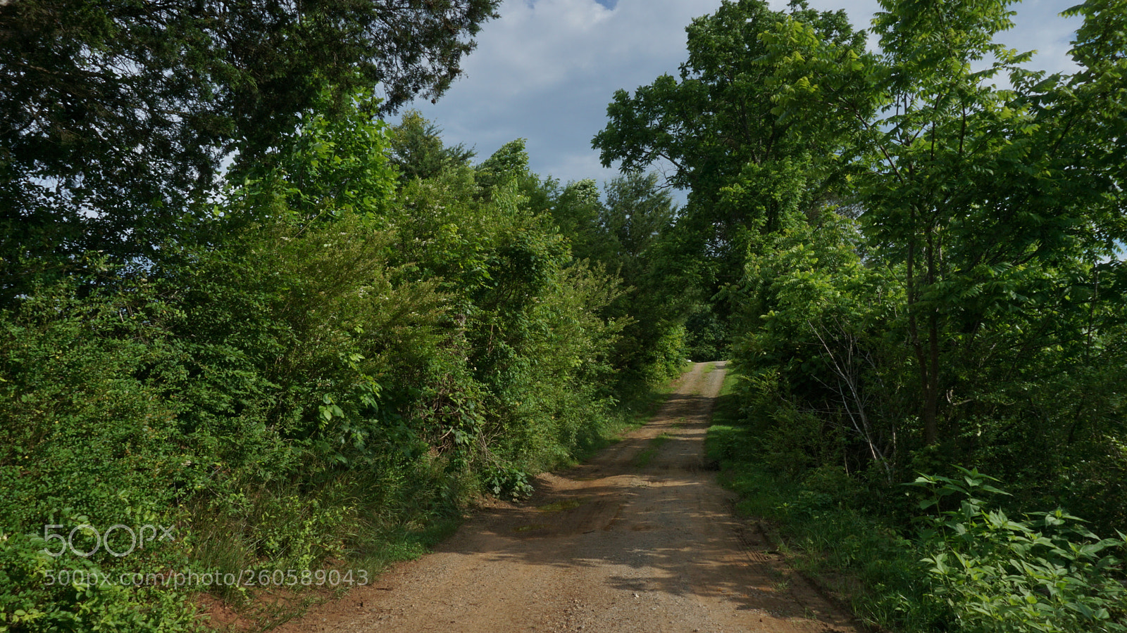 Sony a6000 sample photo. Nature photography