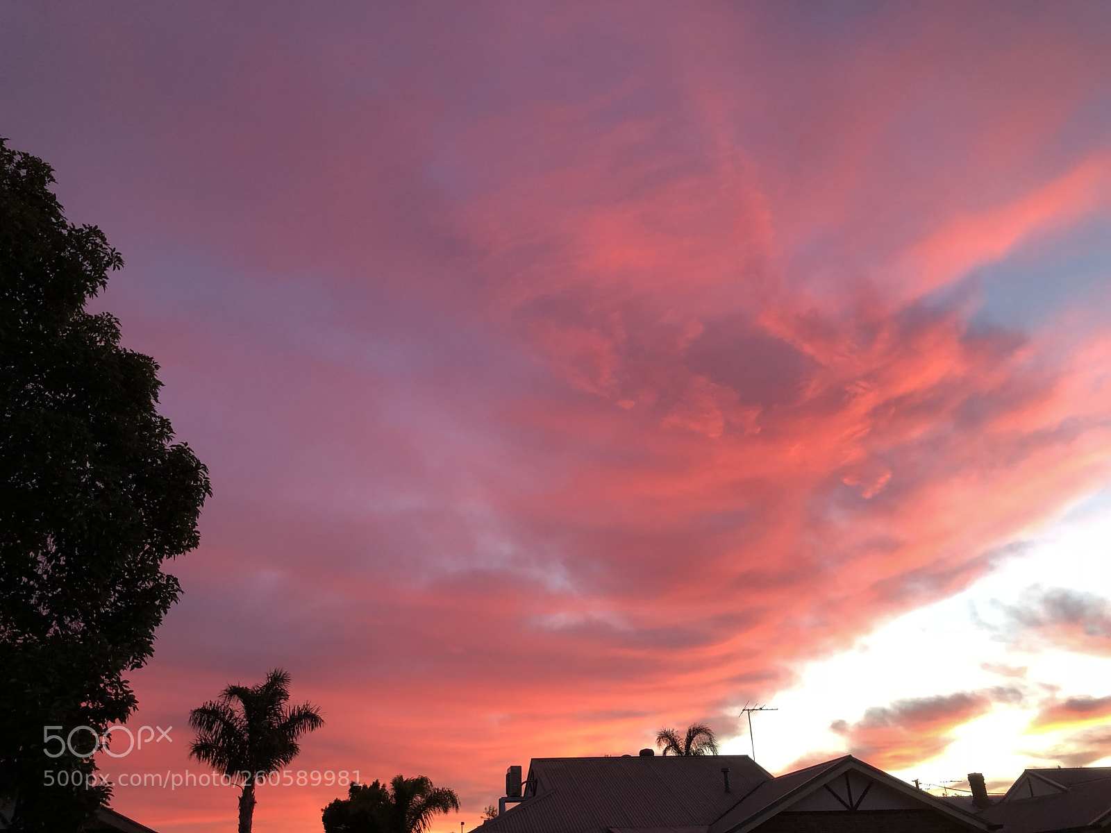 Apple iPhone X sample photo. Morning sky photography