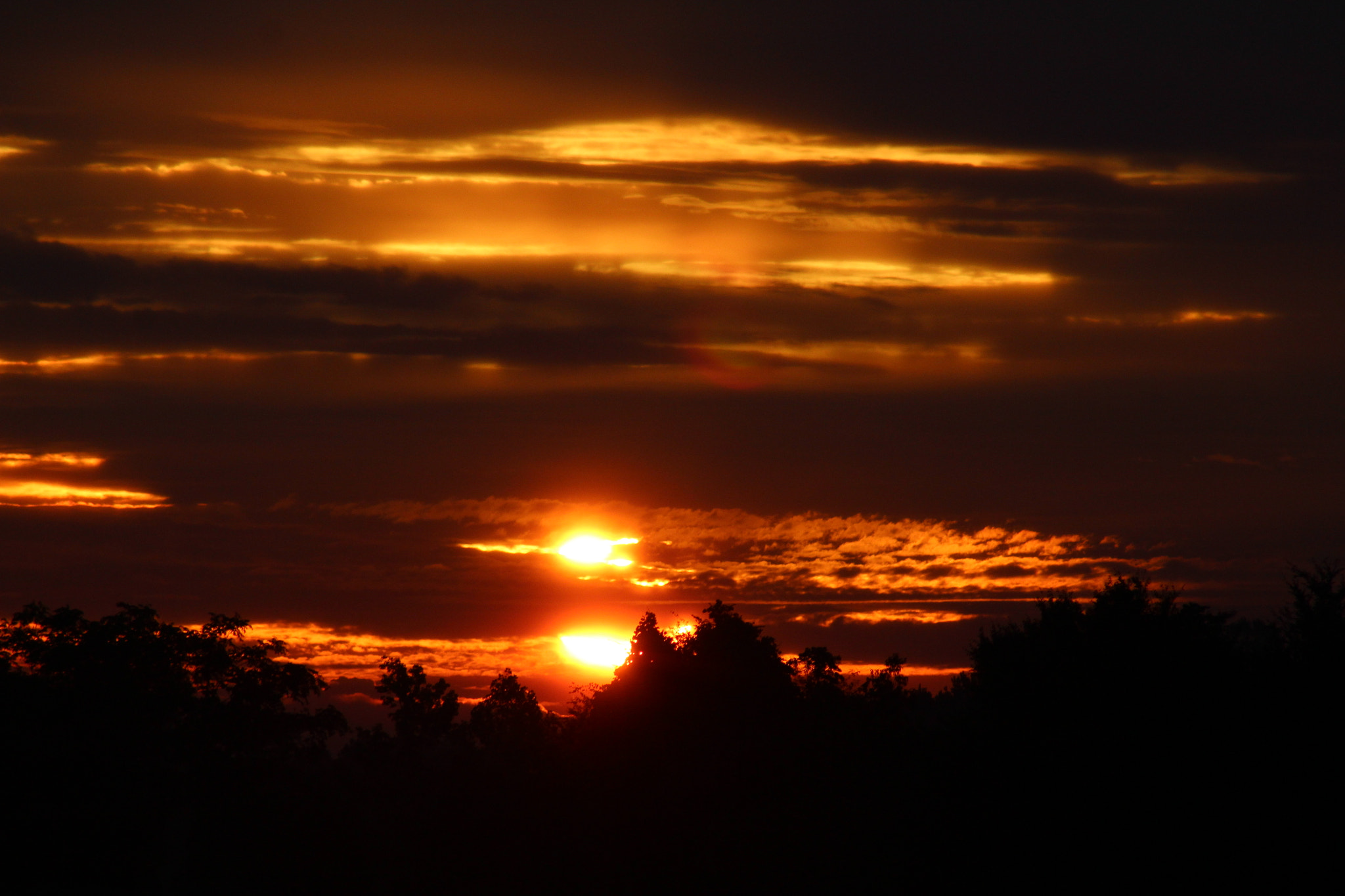 Canon EF 75-300mm f/4-5.6 sample photo. Img photography