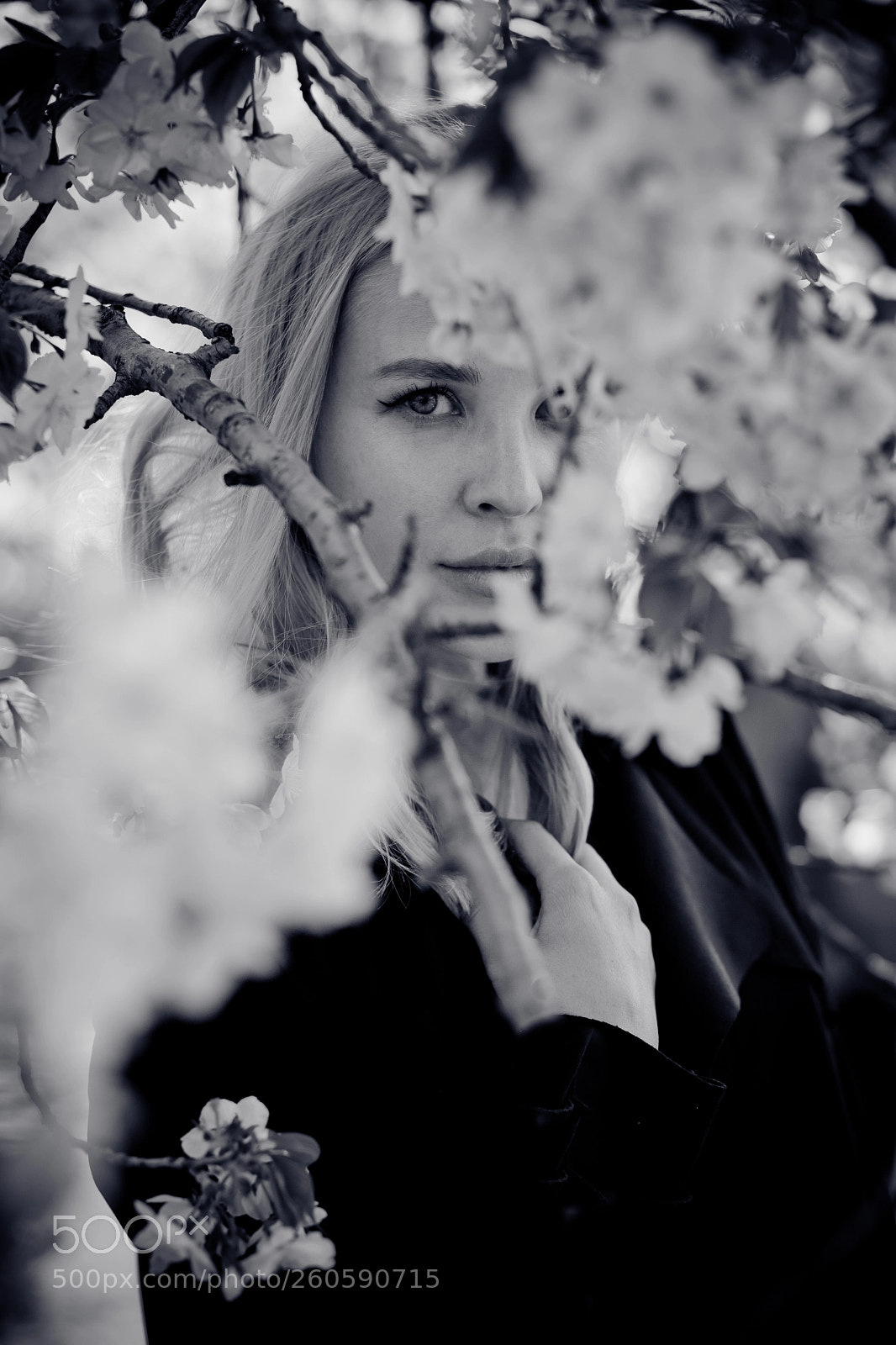 Canon EOS 6D sample photo. Mystry photography