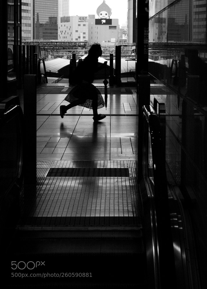 Sigma DP3 Merrill sample photo. Oh my gosh! photography