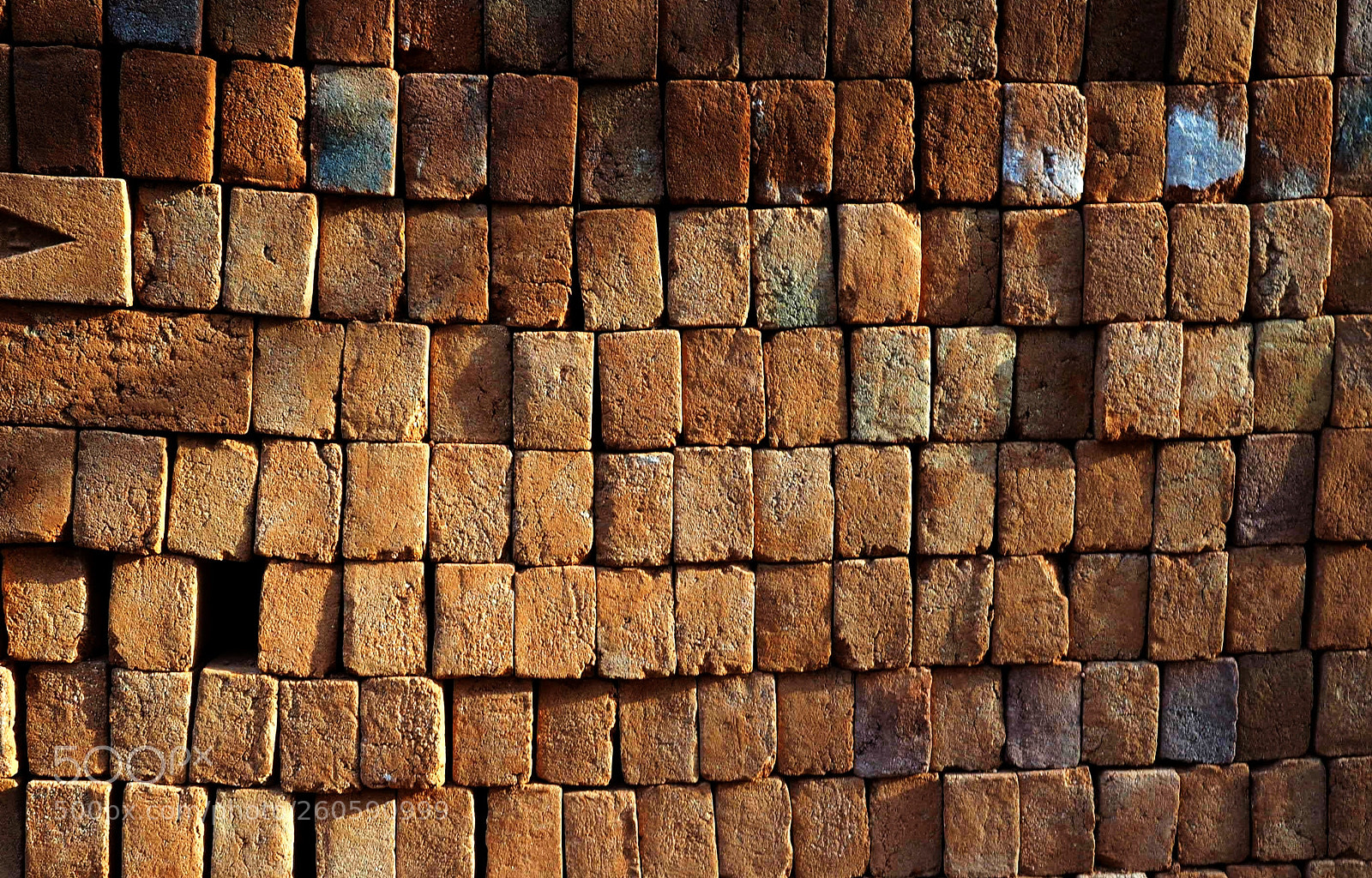 Olympus OM-D E-M5 II sample photo. Stacked photography