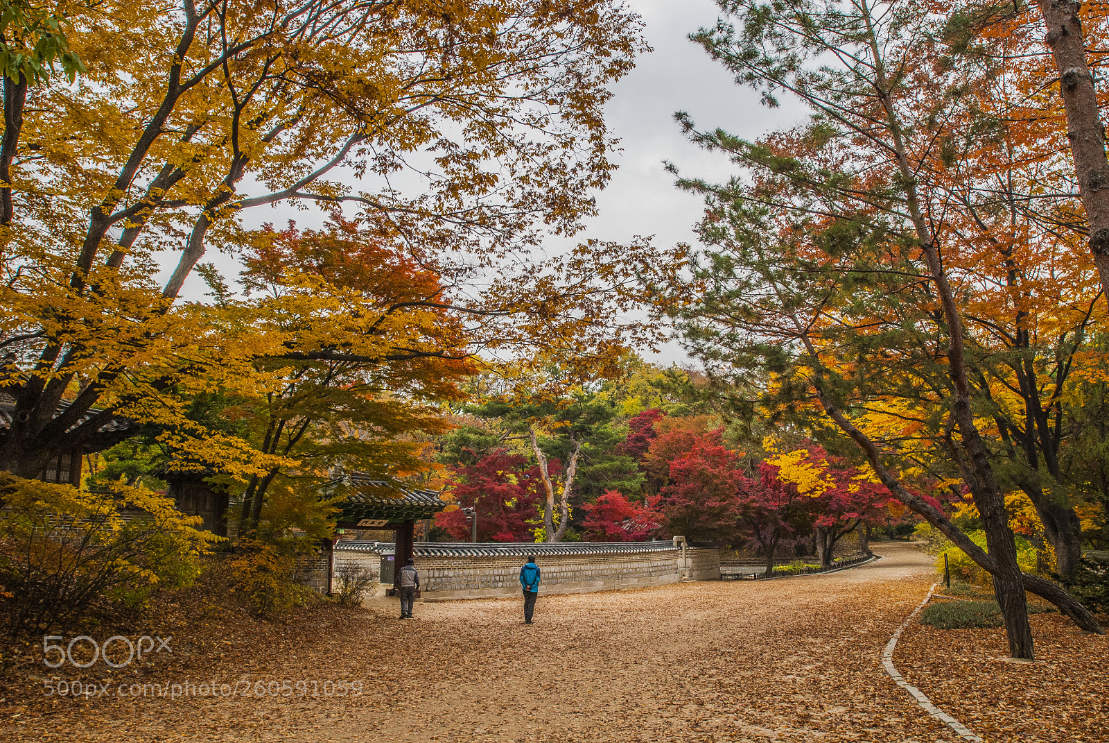 Nikon D200 sample photo. Changdeokgung palace photography