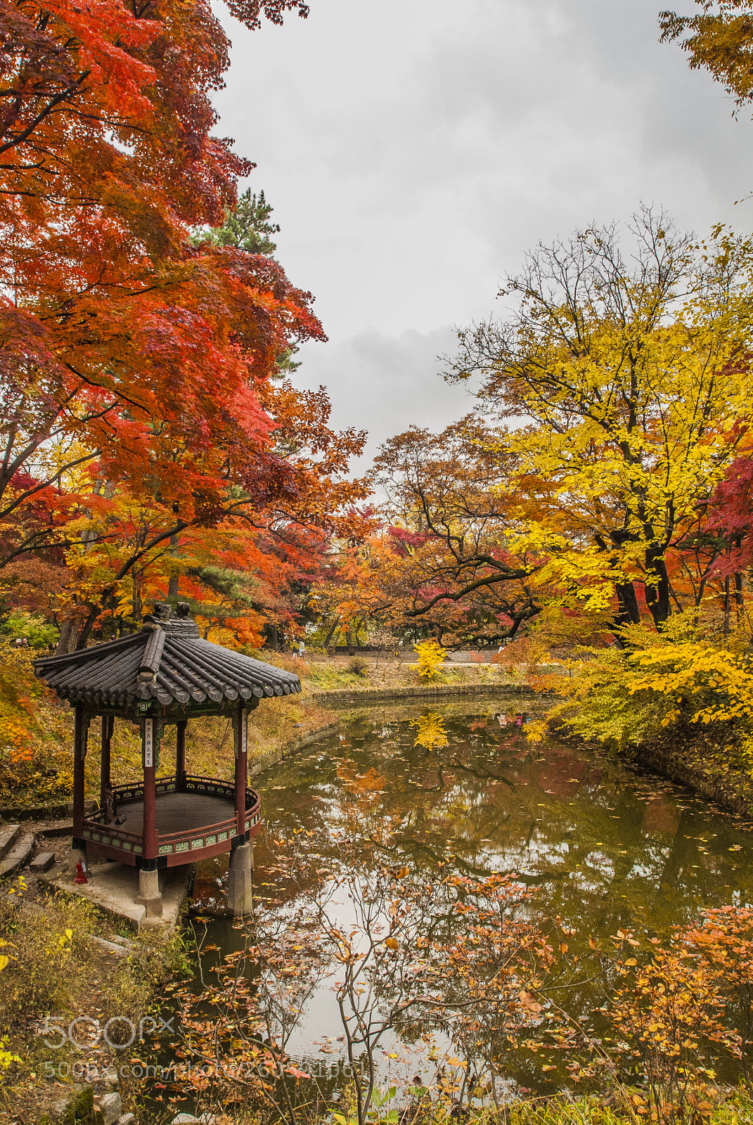 Nikon D200 sample photo. Changdeokgung palace photography