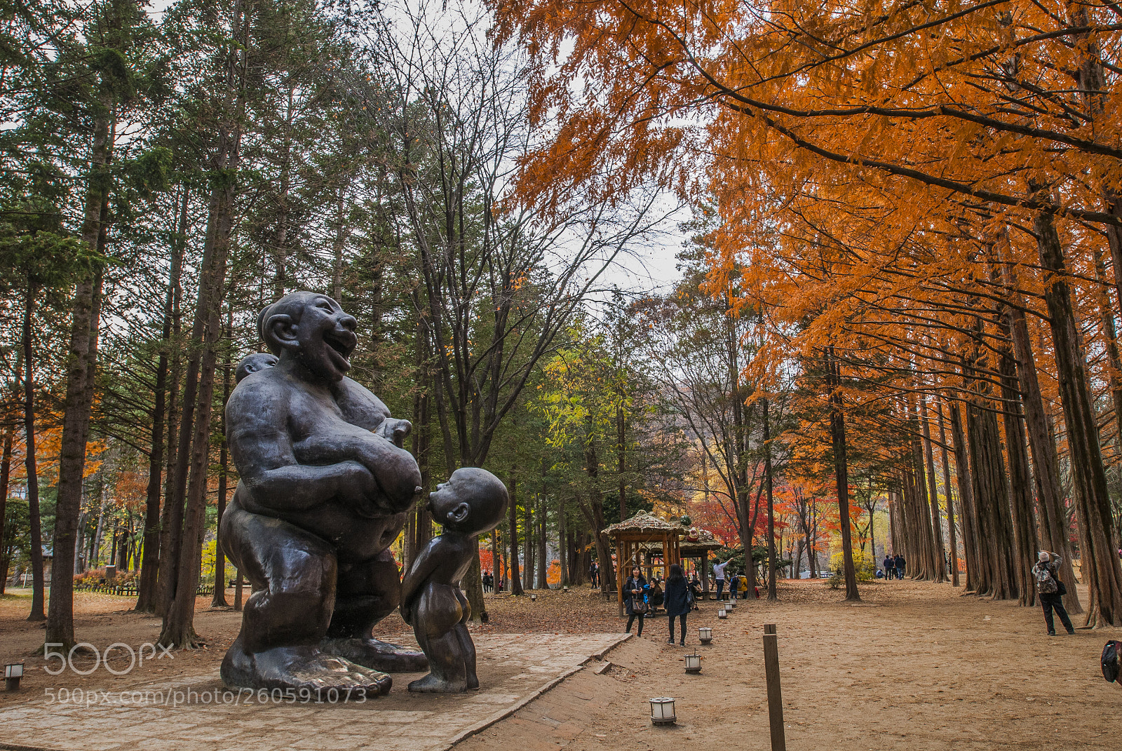 Nikon D200 sample photo. Nami island photography