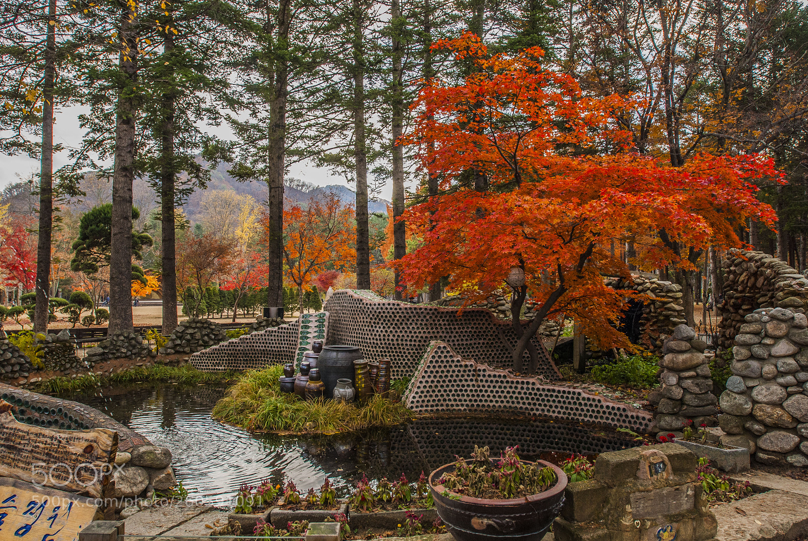 Nikon D200 sample photo. Nami island photography