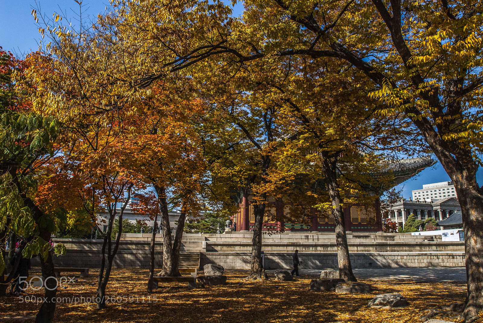 Nikon D200 sample photo. Deoksugung palace photography