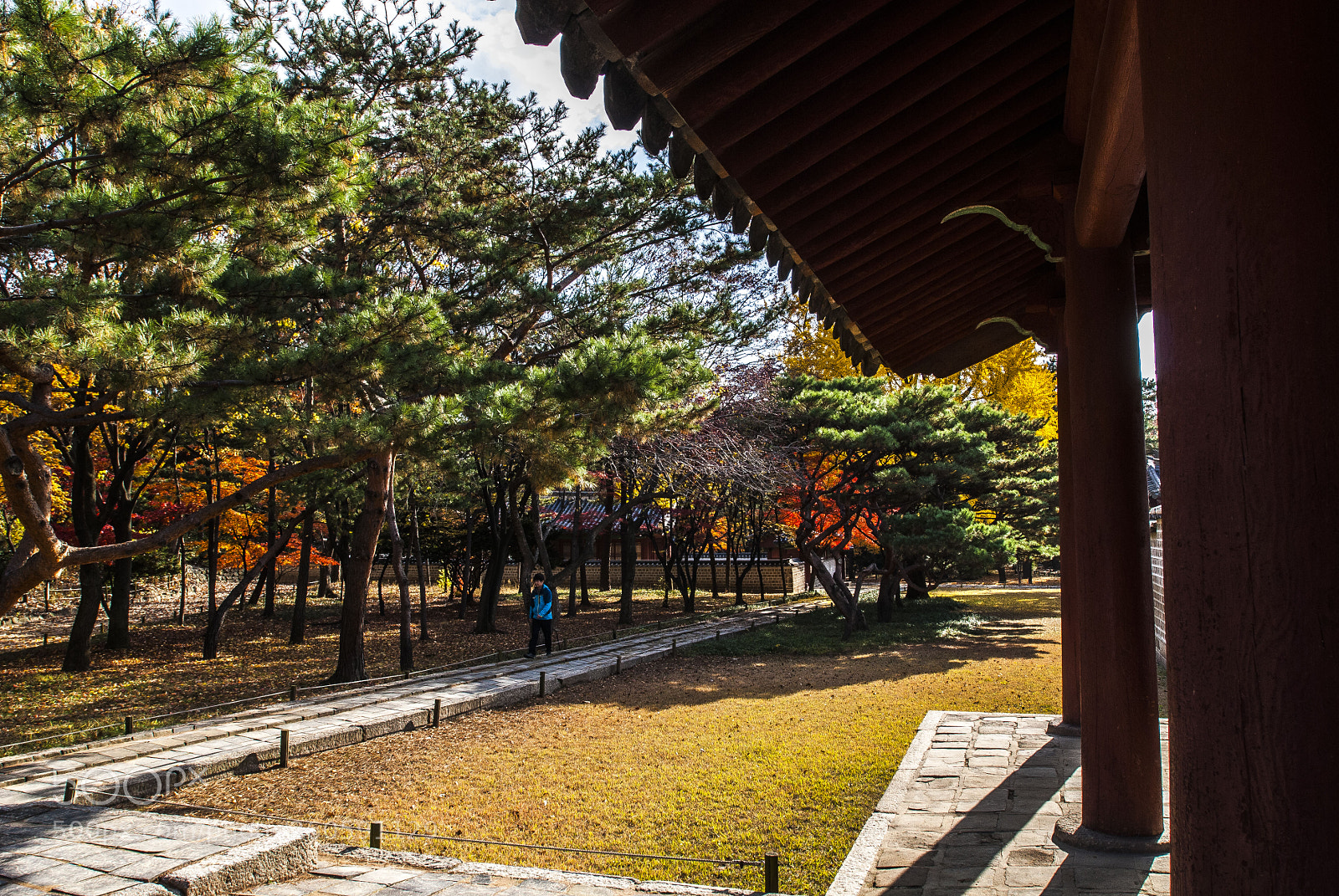 Nikon D200 sample photo. Deoksugung palace photography