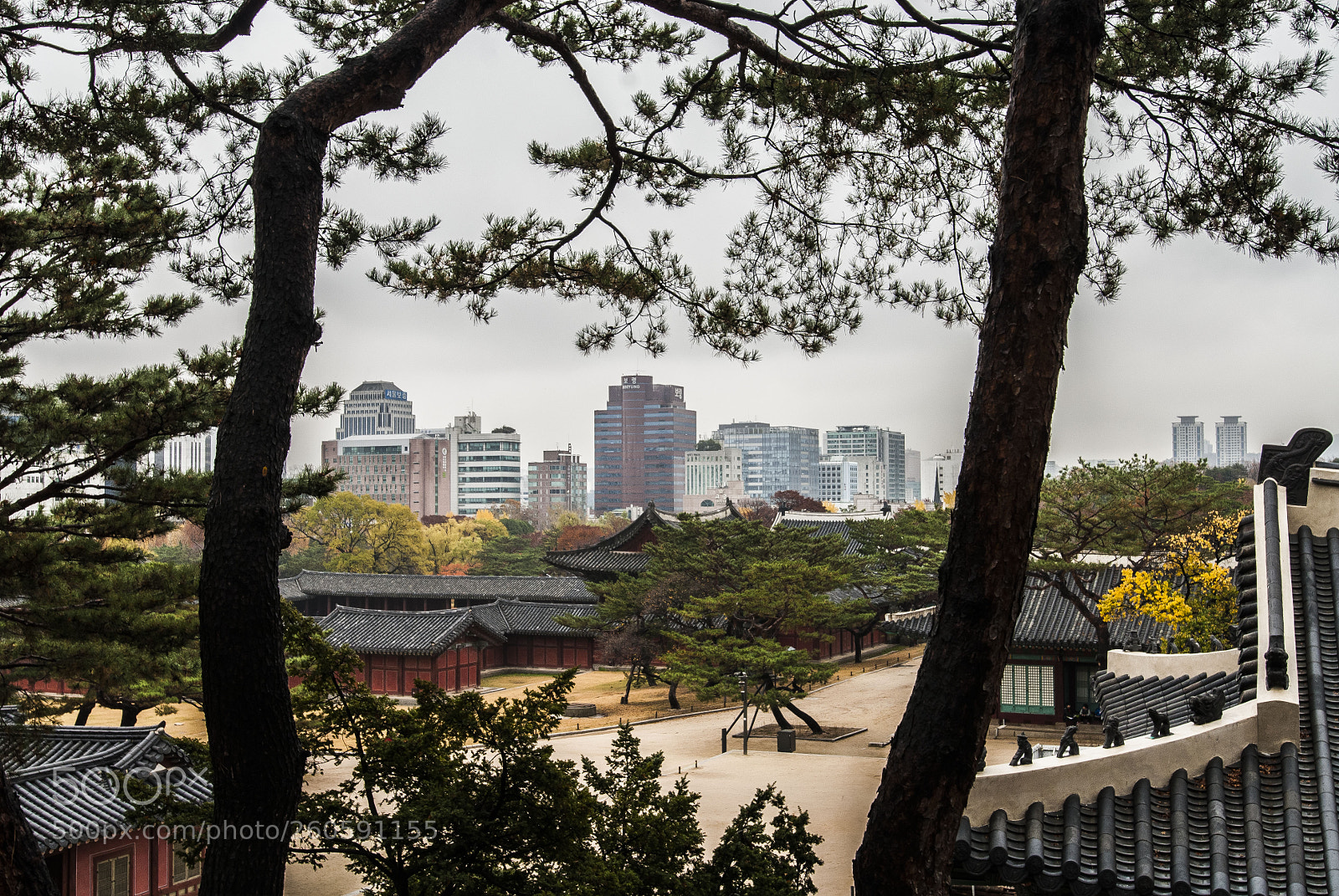 Nikon D200 sample photo. Changgyeonggung palace photography