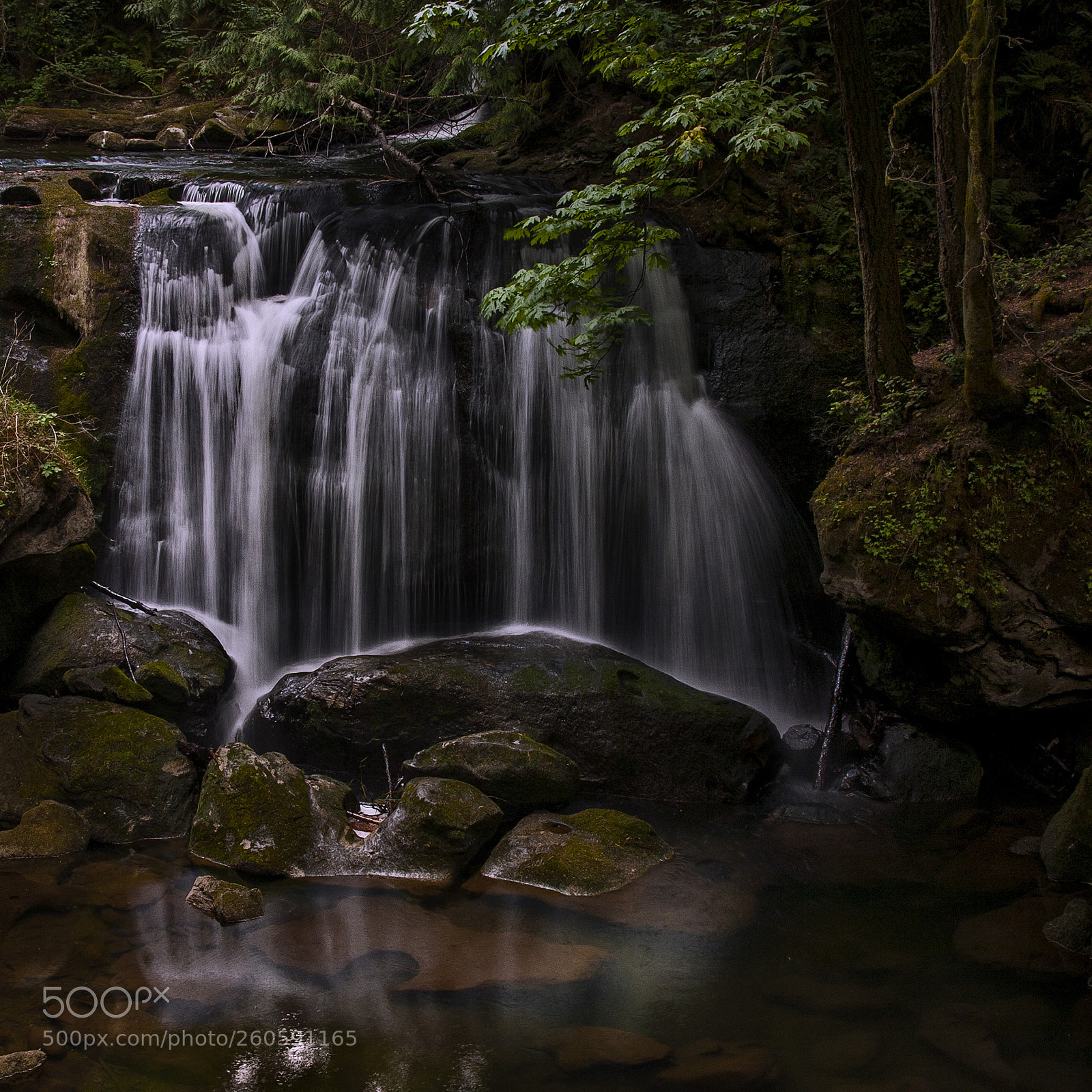 Canon EOS 5D sample photo. Wet rocks photography